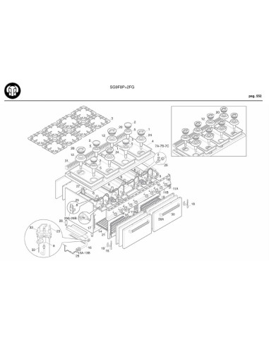 Pièces détachées BERTOS SG9F8P-2FG Annee 2009 