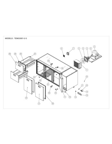 Pièces détachées ILSA TEMG3001 Annee 0 