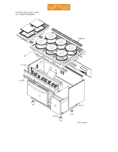 Pièces détachées LOTUS CFVQ6-712ETV Annee 0 SNgte1605 