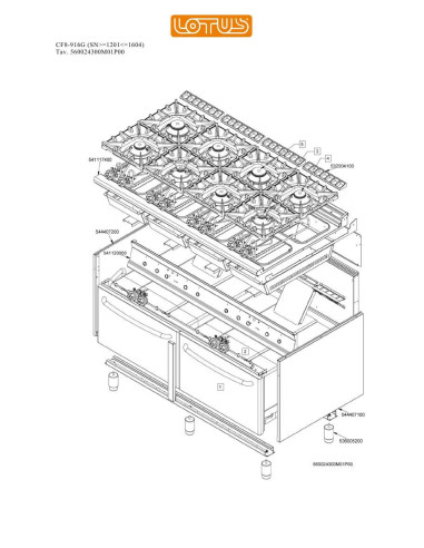 Pièces détachées LOTUS CF8-916G Annee 0 SNgte1201lte1604 