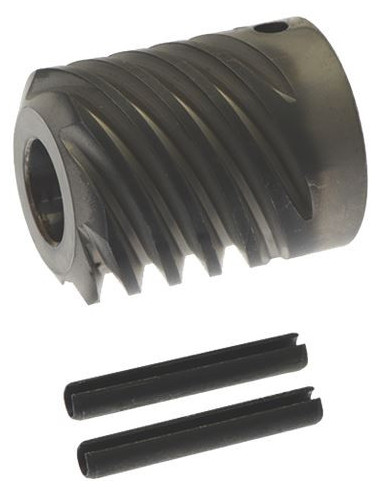 Worm Screw Set pour Planétaire Dito Electrolux 