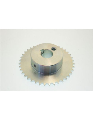 Pignone  3/8" Z40 Per Movimento Conca pour Machine Essoreuse Grandiimpianti 