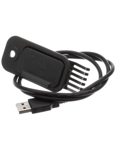 Interface Usb pour Four Vapeur Rational 